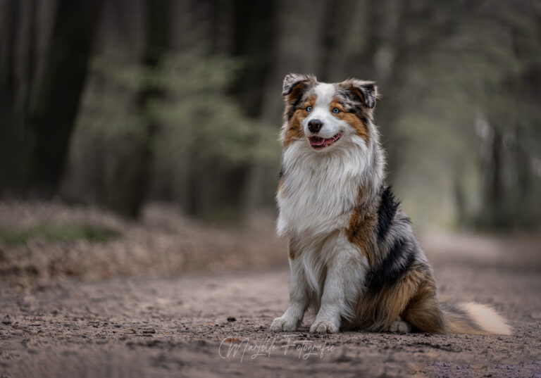 Fotograaf Marjelle Otten - Zwolle