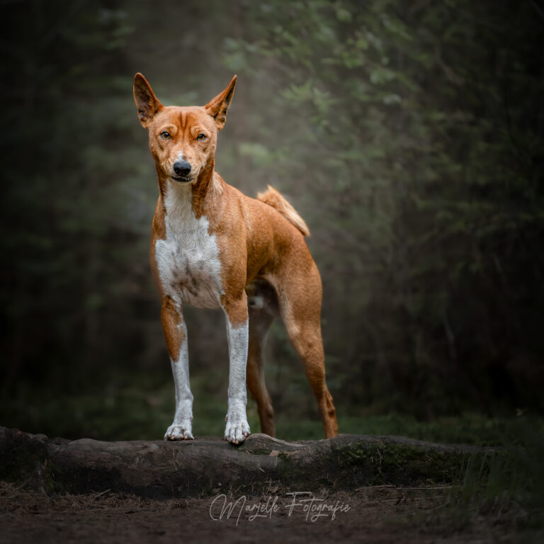 Fotograaf Marjelle Otten - Zwolle