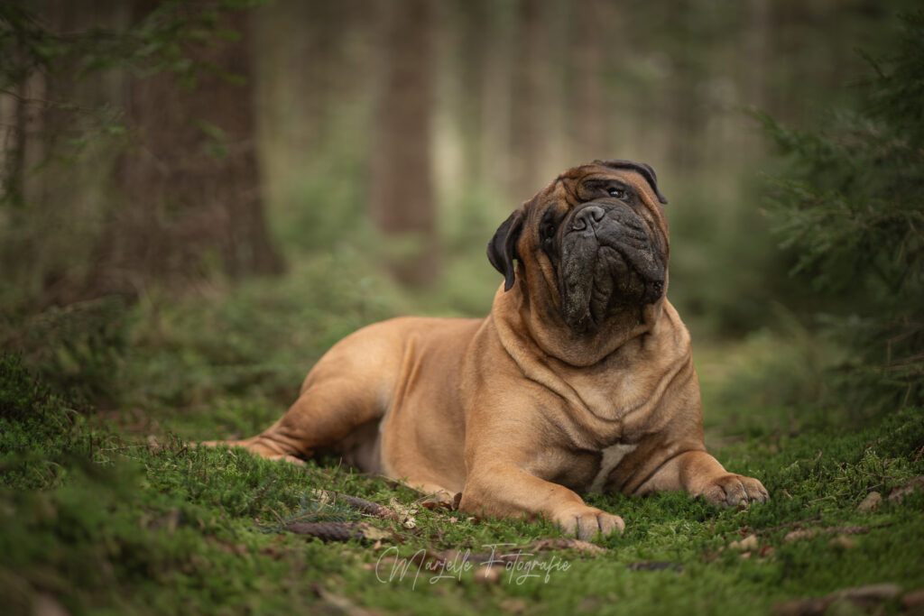 Fotograaf Marjelle Otten - Zwolle