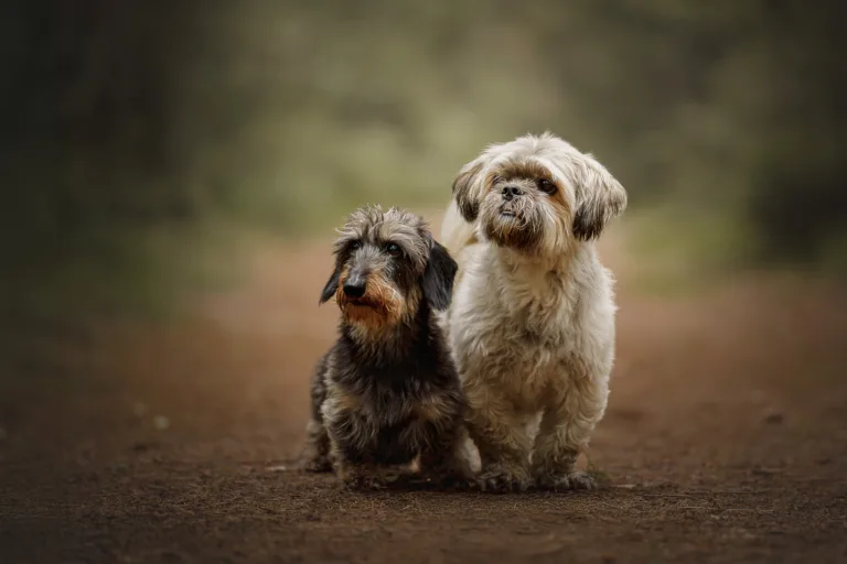 Fotograaf Marjelle Otten Zwolle