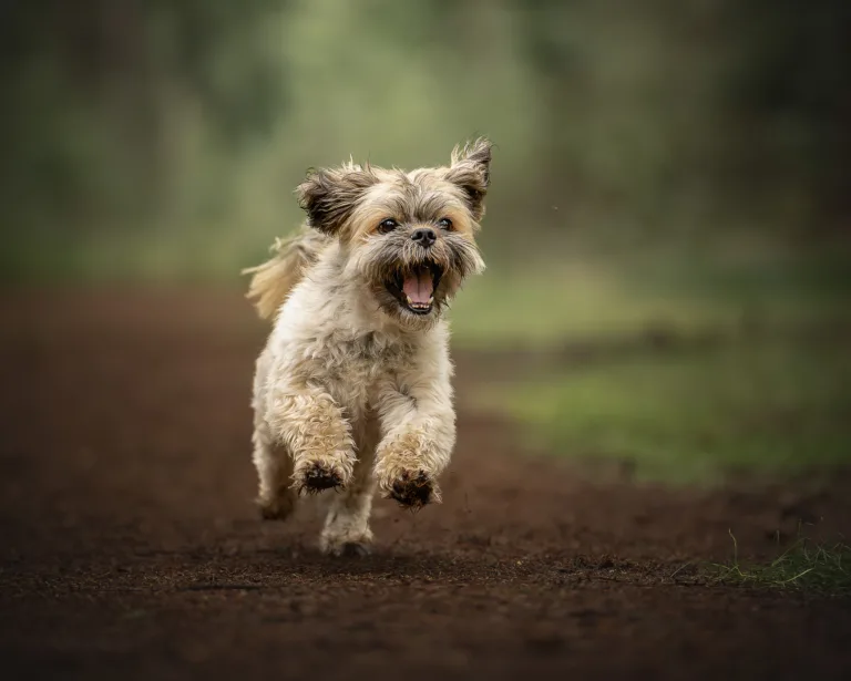 Fotograaf Marjelle Otten Zwolle