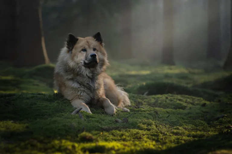 Fotograaf Marjelle Otten Zwolle