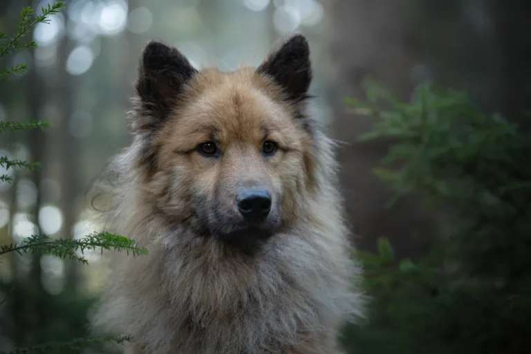 Fotograaf Marjelle Otten Zwolle