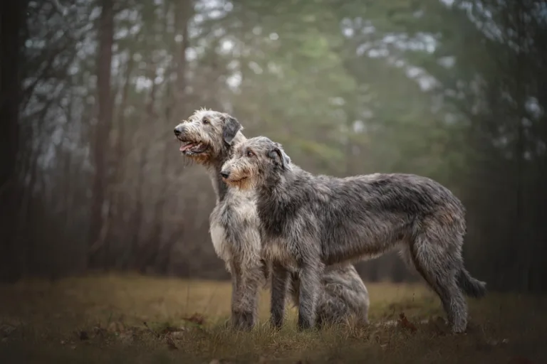 Fotograaf Marjelle Otten Zwolle