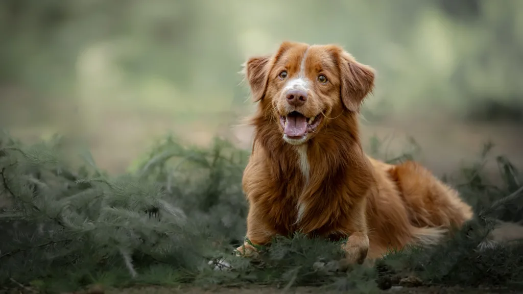 Fotograaf Marjelle Otten Zwolle