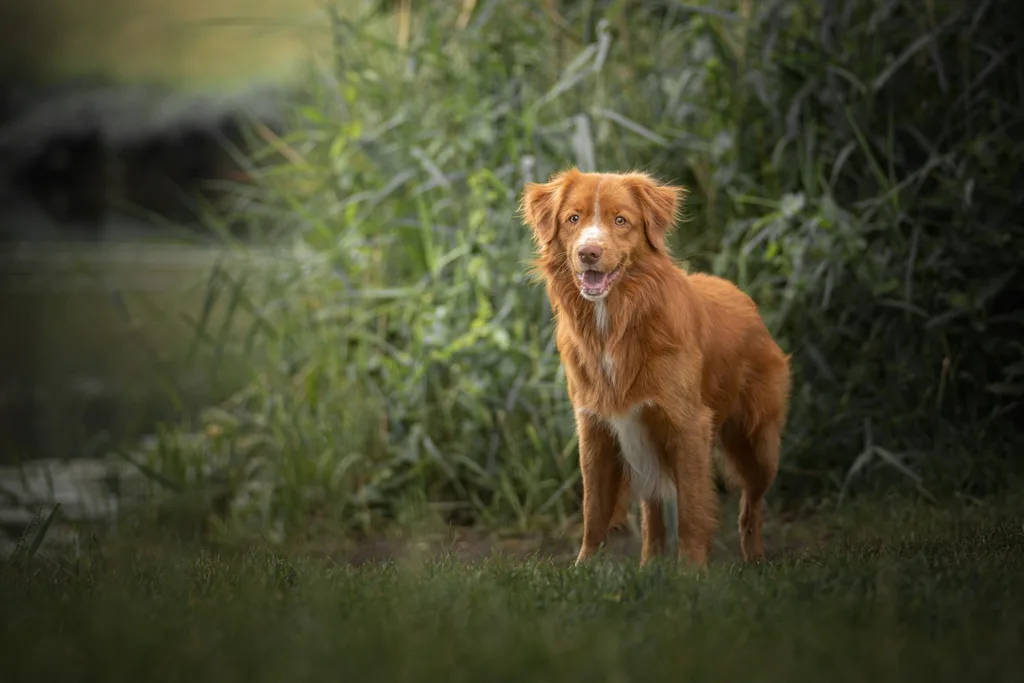 Fotograaf Marjelle Otten Zwolle